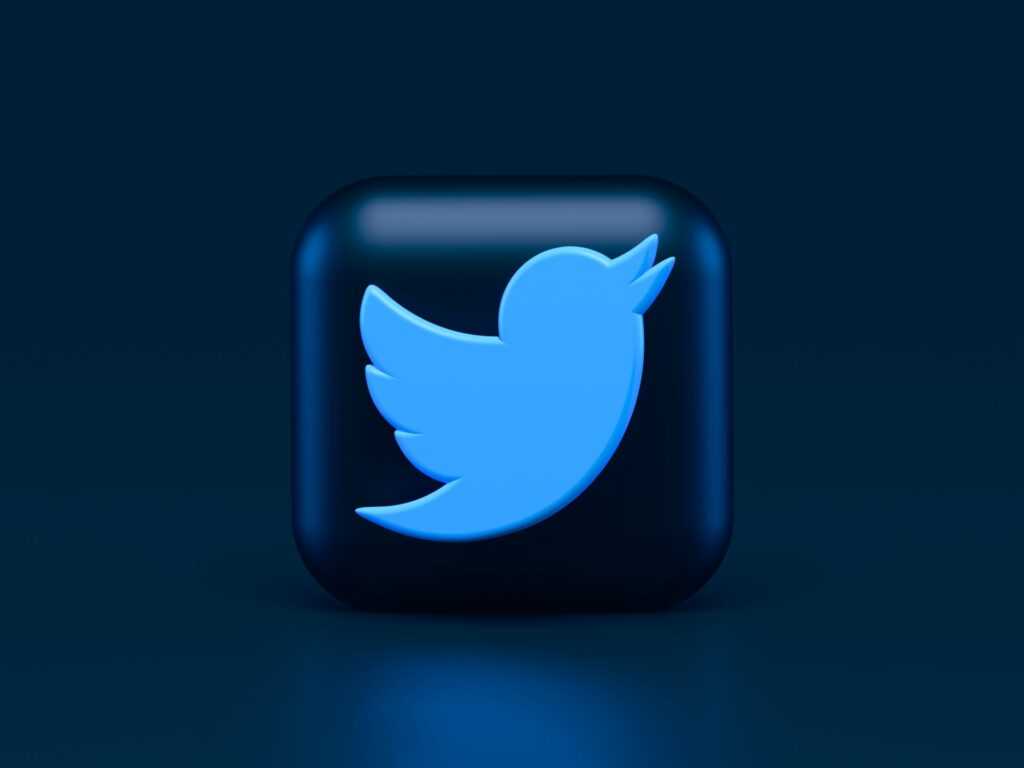 How to change Twitter password (Twitter logo)